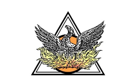 The Phoenix Rising From The Ashes