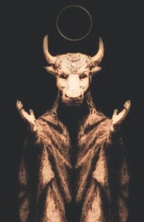 photo_2026-02-11_23-24-06